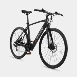 Crazybird CB20 250W 25 km/h Bicicleta Eléctrica